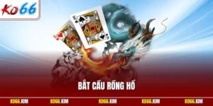 Bắt cầu rồng hổ