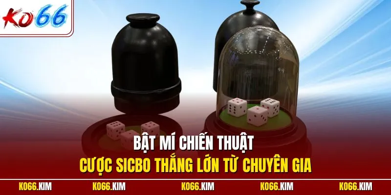 Bật mí chiến thuật cược Sicbo thắng lớn từ chuyên gia