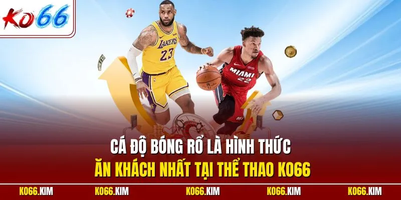 Cá độ bóng rổ là hình thức ăn khách nhất tại thể thao KO66