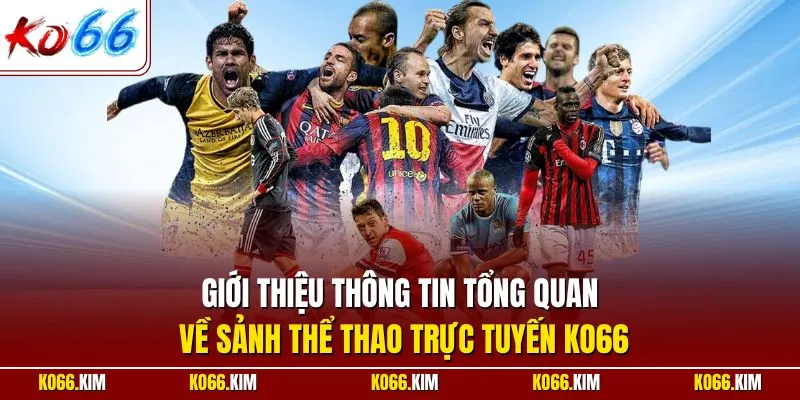 Giới thiệu thông tin tổng quan về sảnh thể thao trực tuyến KO66